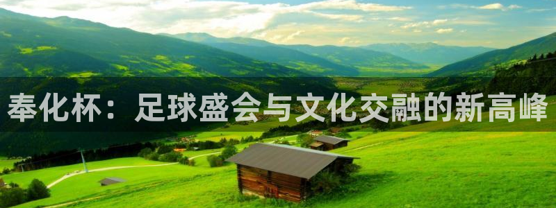 足球世界杯：奉化杯：足球盛会与文化交融的新高峰