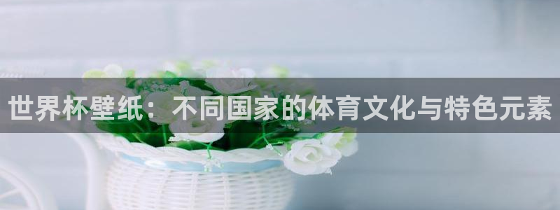 世界杯小组赛赛程：世界杯壁纸：不同国家的体育文化与特色元素