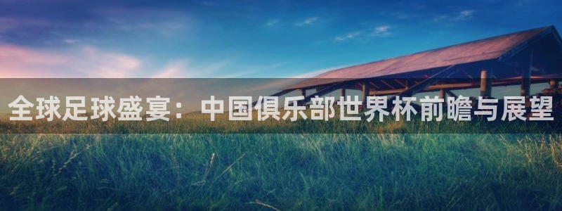 中国 世界杯：全球足球盛宴：中国俱乐部世界杯前瞻与展望