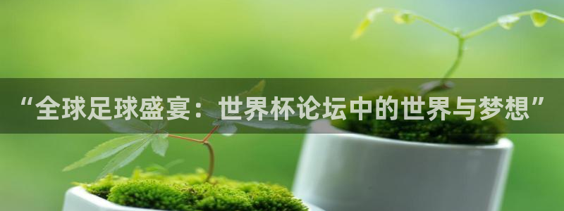 2026年足球世界杯赛程时间表：“全球足球盛宴：世界杯论坛中的世界与梦想”
