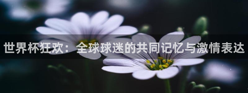 2026世界杯赛：世界杯狂欢：全球球迷的共同记忆与激情表达