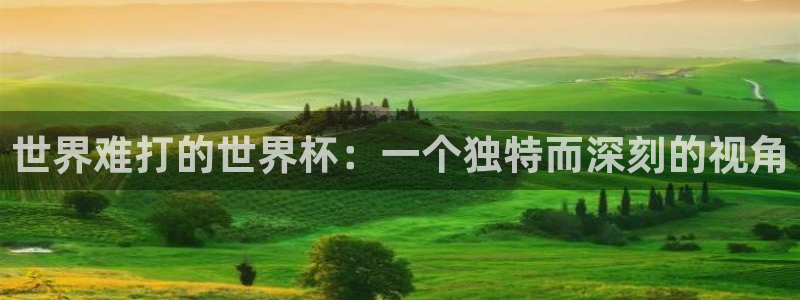 世界杯足球：世界难打的世界杯：一个独特而深刻的视角