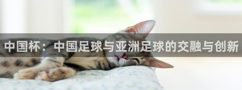 世界杯预选赛：中国杯：中国足球与亚洲足球的交融与创新