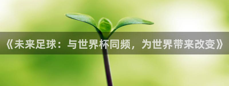 美国世界杯：《未来足球：与世界杯同频，为世界带来改变》