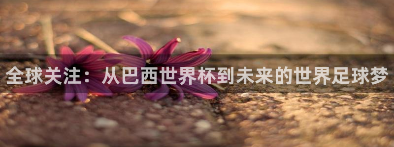 2026世预赛赛程：全球关注：从巴西世界杯到未来的世界足球梦