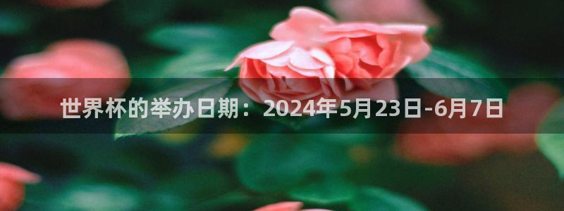 2026年世界杯：世界杯的举办日期：2024年5月23日-6月7日