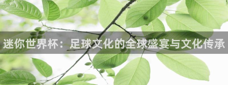 葡萄牙世界杯赛程：迷你世界杯：足球文化的全球盛宴与文化传承