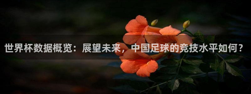 世界杯对阵图2026：世界杯数据概览：展望未来，中国足球的竞技水平如何？