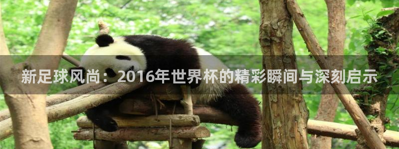 世界杯欧洲区赛程：新足球风尚：2016年世界杯的精彩瞬间与深刻启示