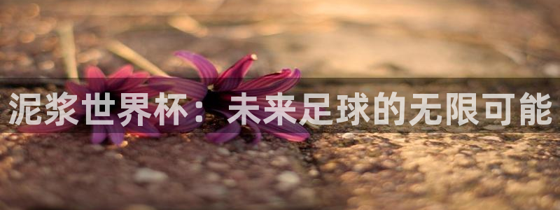 预选赛世界杯：泥浆世界杯：未来足球的无限可能