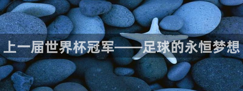 2026世界杯亚洲预选赛赛程：上一届世界杯冠军——足球的永恒梦想